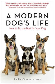 A Modern Dog's Life, Paul McGreevy