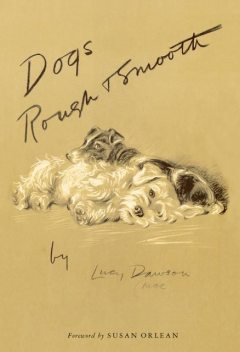 Dogs Rough and Smooth, Lucy Dawson