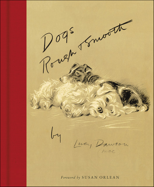 Dogs Rough and Smooth, Lucy Dawson