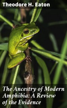 The Ancestry of Modern Amphibia: A Review of the Evidence, Theodore H.Eaton