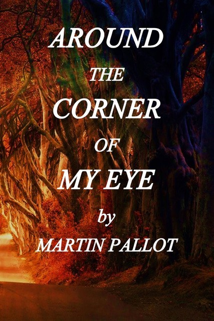 Around the Corner of my Eye, Martin Pallot