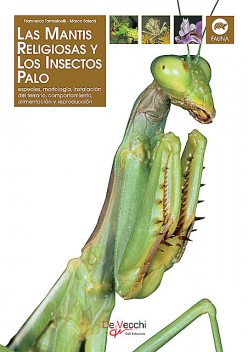 La mantis religiosa y los insectos palo, Francesco Tomasinelli, Marco Salemi