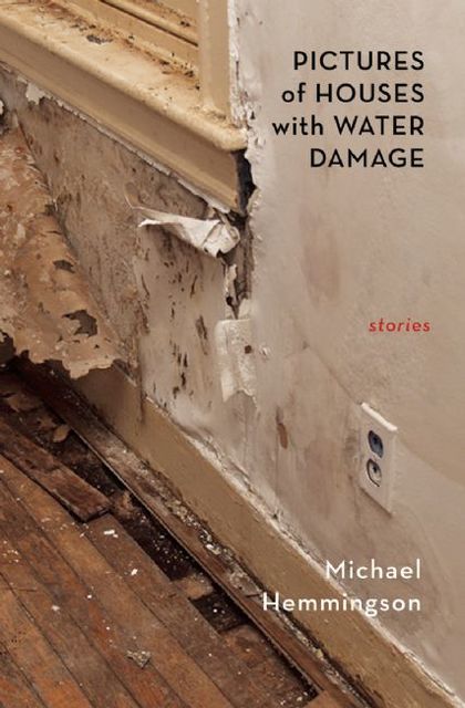 Pictures of Houses with Water Damage: Stories, Michael Hemmingson