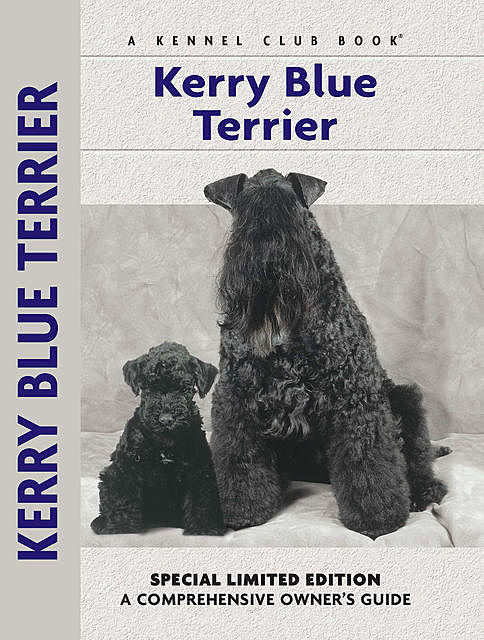 Kerry Blue Terrier, Bardi McLennan