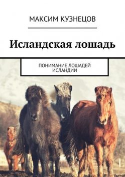 Исландская лошадь. Понимание лошадей Исландии, Максим Кузнецов