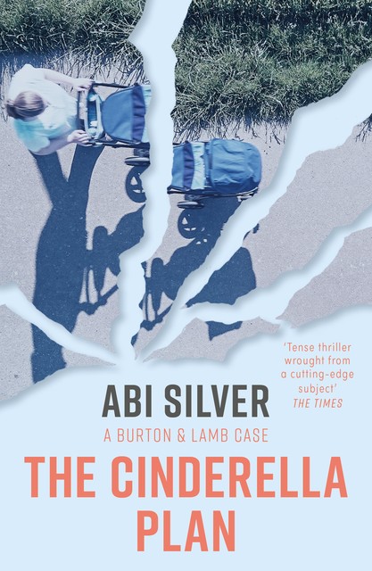 The Cinderella Plan, Silver Abi