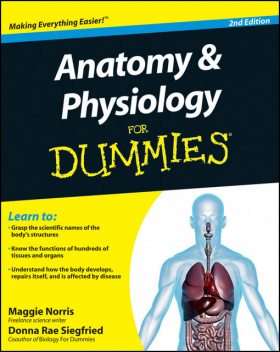 Anatomy & Physiology For Dummies, 2nd Edition, Donna Rae Siegfried, Maggie Norris