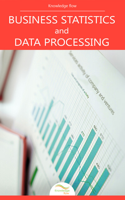 Business Statistics and Data Processing, Knowledge flow