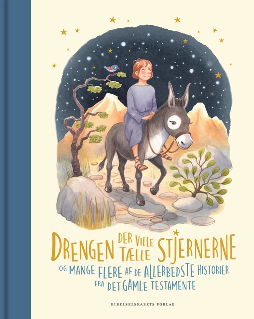 Drengen der ville tælle stjernerne, Louise Langhoff Koch