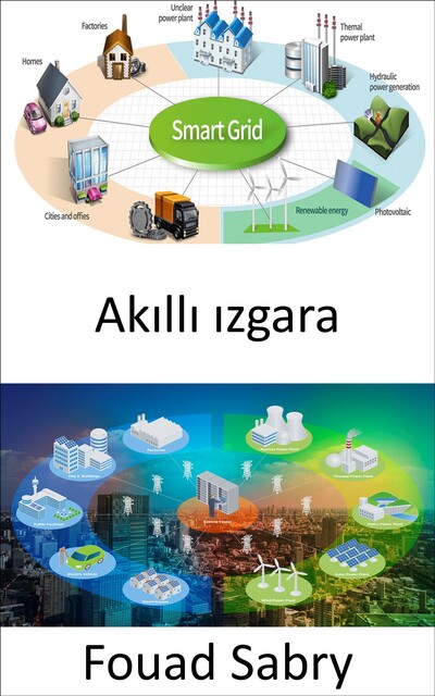 Akıllı ızgara, Fouad Sabry