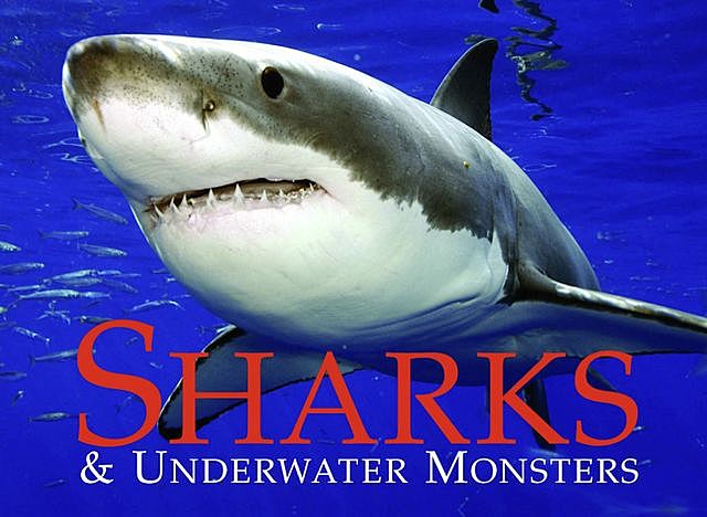 Sharks & Underwater Monsters, Paula Hammond