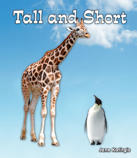 Tall and Short, Jane Katirgis