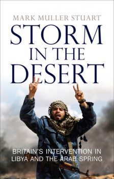 Storm in the Desert, Mark Stuart