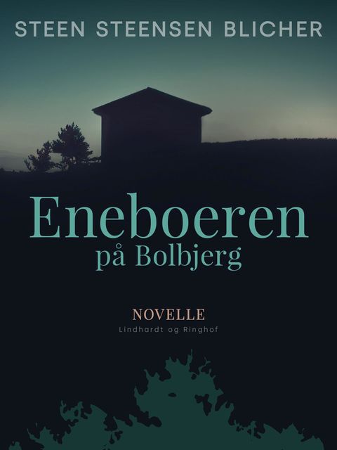 Eneboeren på Bolbjerg, Steen Steensen Blicher