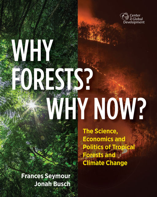 Why Forests? Why Now, Frances Seymour, Jonah Busch