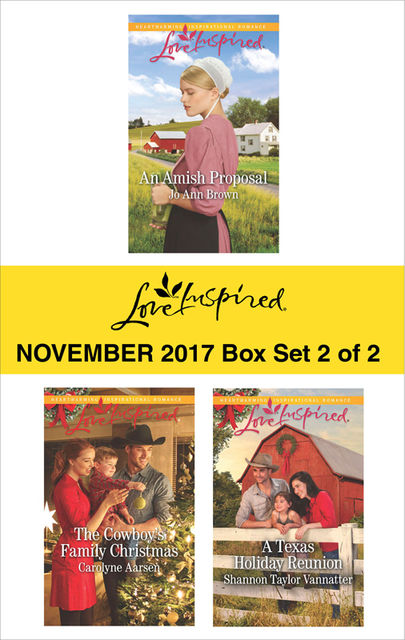 Harlequin Love Inspired November 2017 – Box Set 2 of 2, Carolyne Aarsen, Shannon Taylor Vannatter, Jo Ann Brown