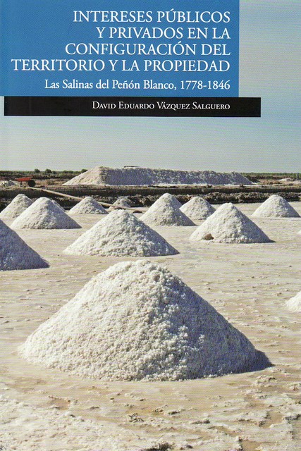 Intereses públicos y privados en la configuración del territorio y la propiedad, David Eduardo Vázquez Salguero