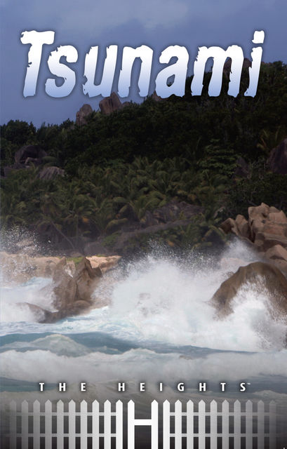 Tsunami, Ed Hansen