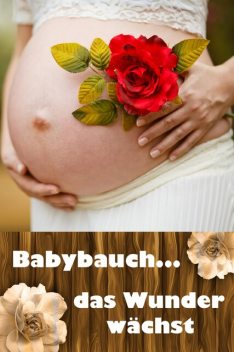 Babybauch…das Wunder wächst, Laura Paulsen