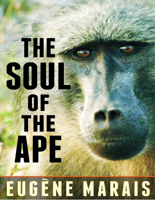 The Soul of the Ape, Eugene Marais