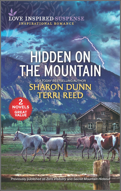 Hidden on the Mountain, Terri Reed, Sharon Dunn