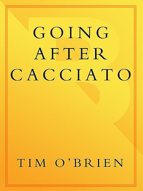 Going After Cacciato, Tim O'Brien