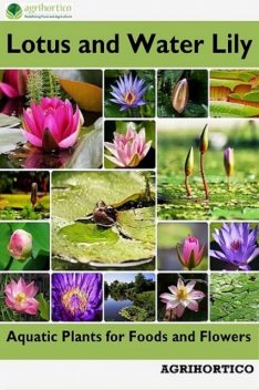 Lotus and Water Lily, Agrihortico CPL