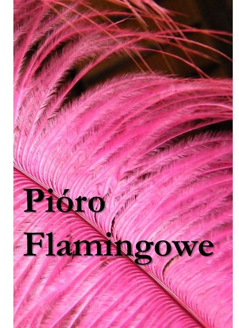 Pióro Flamingowe, Kirk Munroe