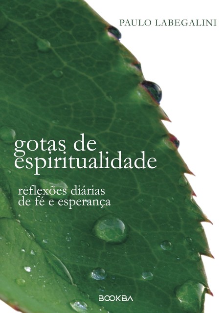 Gotas de Espiritualidade, Paulo Labegalini