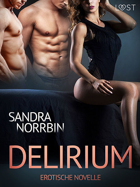 Delirium: Erotische Novelle, Sandra Norrbin