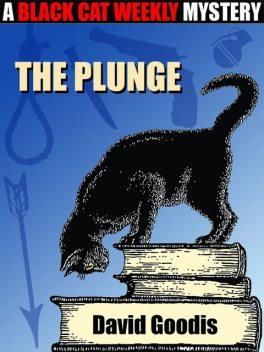 The Plunge, David Goodis