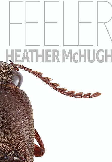Feeler, Heather McHugh