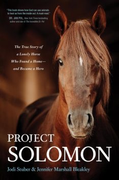 Project Solomon, Jennifer Marshall Bleakley, Jodi Stuber