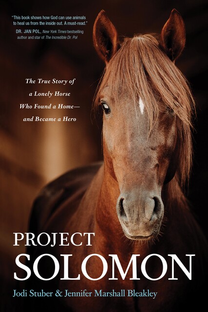 Project Solomon, Jennifer Marshall Bleakley, Jodi Stuber