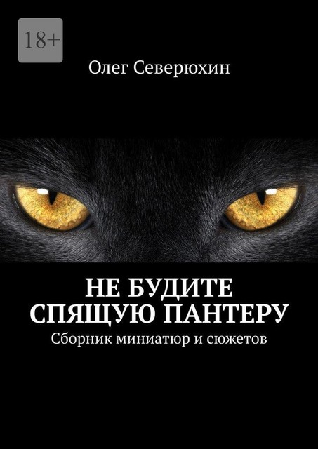 Не будите спящую пантеру, Олег Северюхин