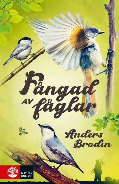 Fångad av fåglar, Anders Brodin