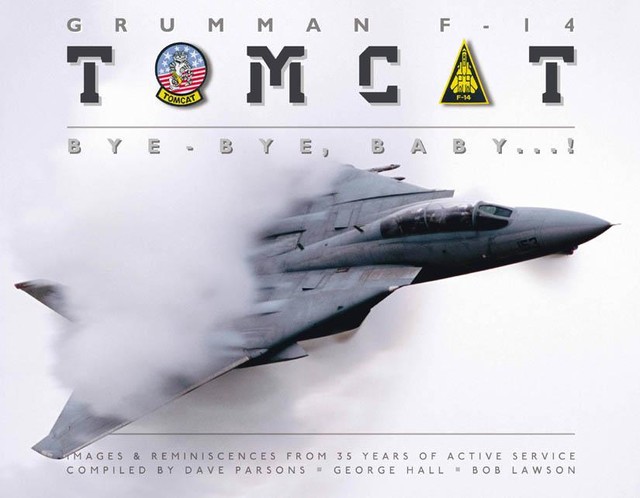 Grumman F-14 Tomcat, George Hall, Bob Lawson, Dave Parsons