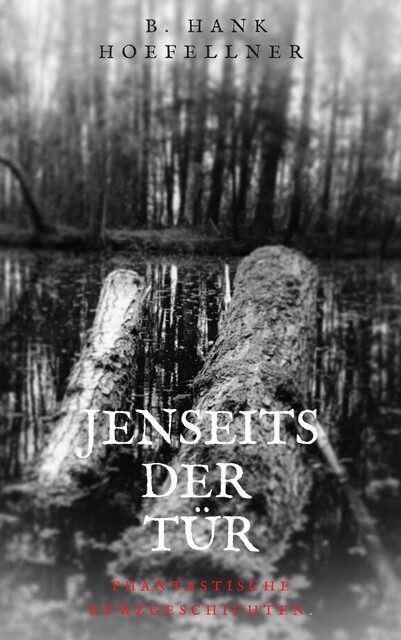 Jenseits der Tür, Bernhard Höfellner