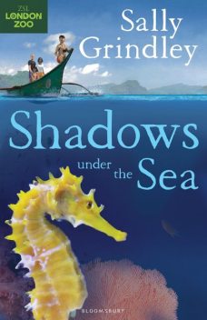 Shadows under the Sea, Sally Grindley