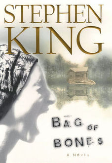 Bag Of Bones: A Novel, Stephen King