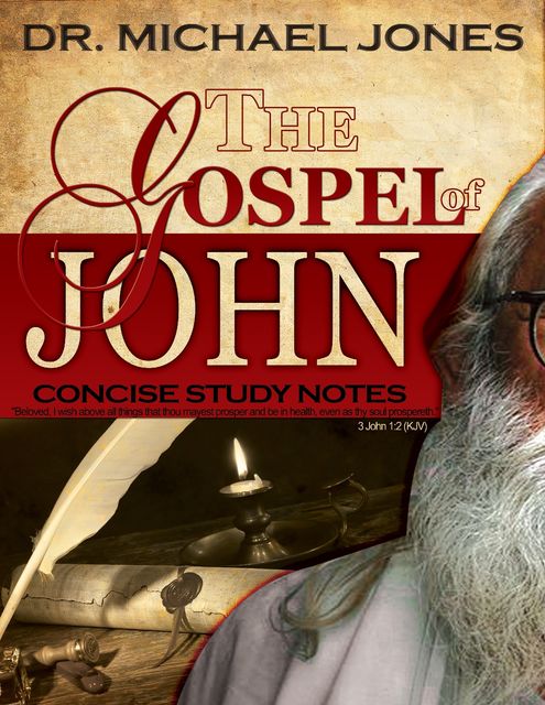 The Gospel of John: Concise Study Notes, Michael Jones