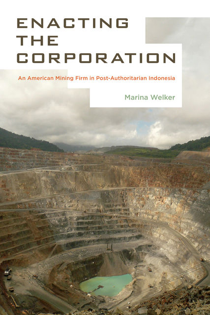 Enacting the Corporation, Marina Welker