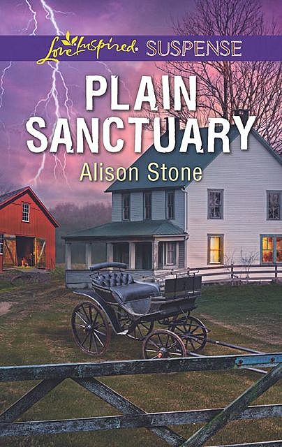 Plain Sanctuary, Alison Stone