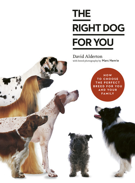 The Right Dog for You, David Alderton