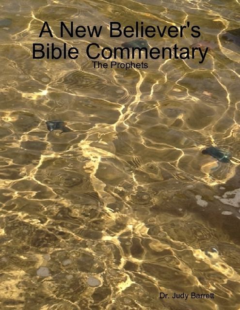 A New Believer's Bible Commentary: The Prophets, Judy Barrett