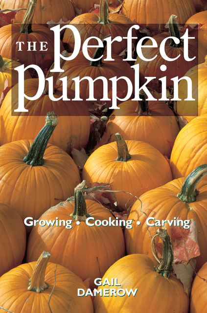 The Perfect Pumpkin, Gail Damerow