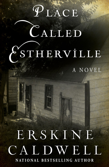 Place Called Estherville, Caldwell Erskine