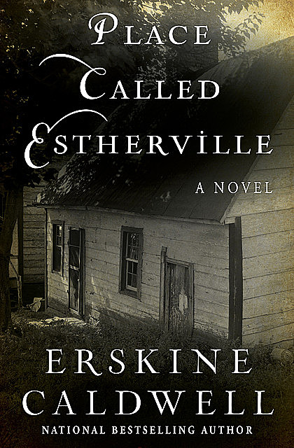 Place Called Estherville, Caldwell Erskine