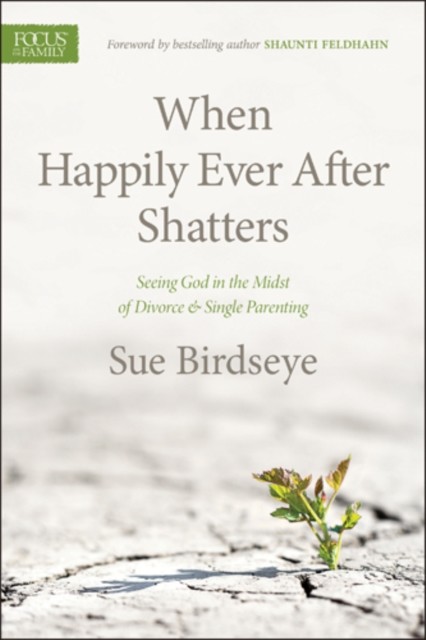 When Happily Ever After Shatters, Sue Birdseye