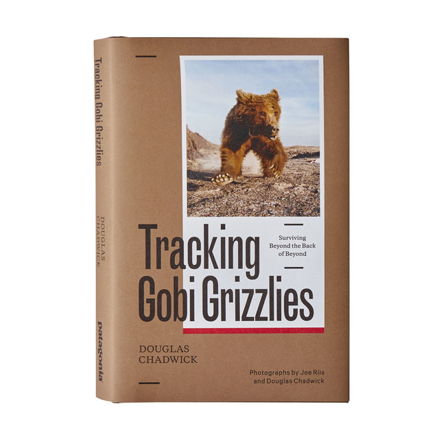 Tracking Gobi Grizzlies, Douglas Chadwick